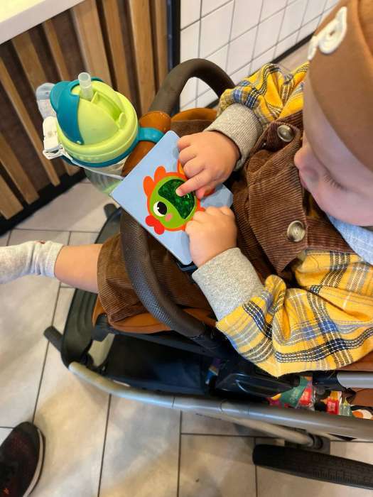 Фотография покупателя товара Развивающий набор «Животные леса», тактильные карточки - Фото 4