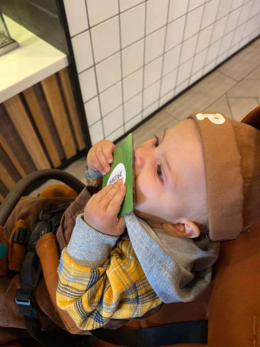 Фотография покупателя товара Развивающий набор «Животные леса», тактильные карточки - Фото 1