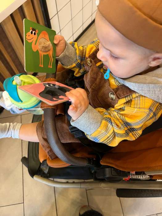 Фотография покупателя товара Развивающий набор «Животные леса», тактильные карточки - Фото 2