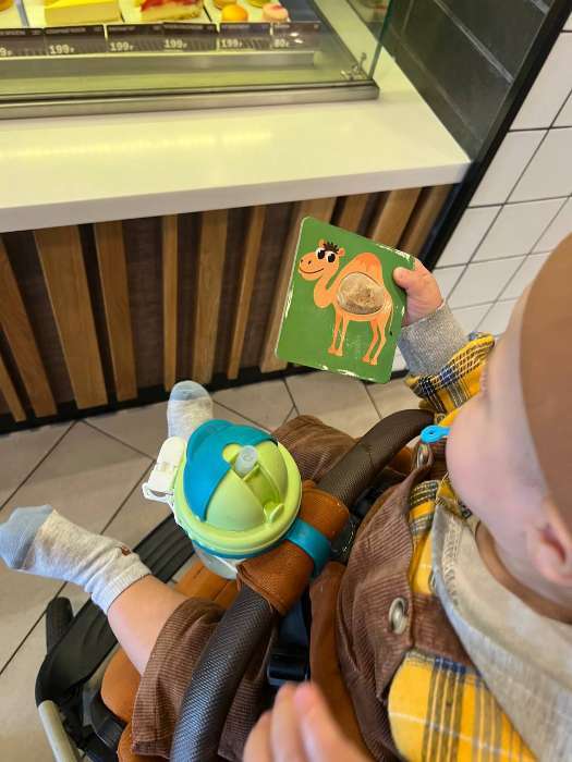 Фотография покупателя товара Развивающий набор «Животные леса», тактильные карточки - Фото 3