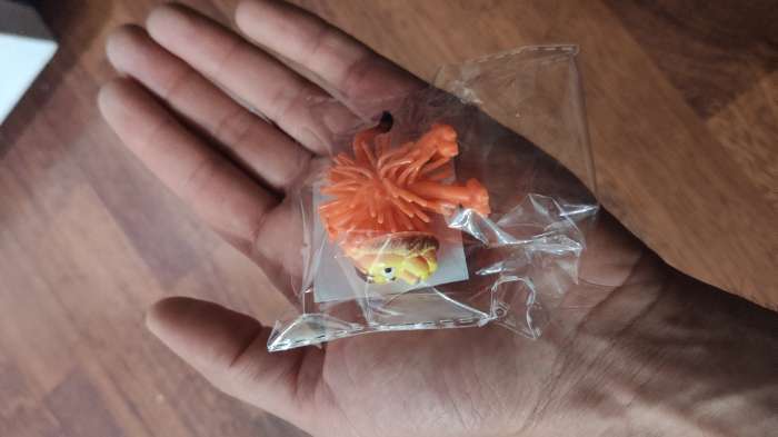 Фотография покупателя товара Ёжка «Животные», виды МИКС - Фото 1