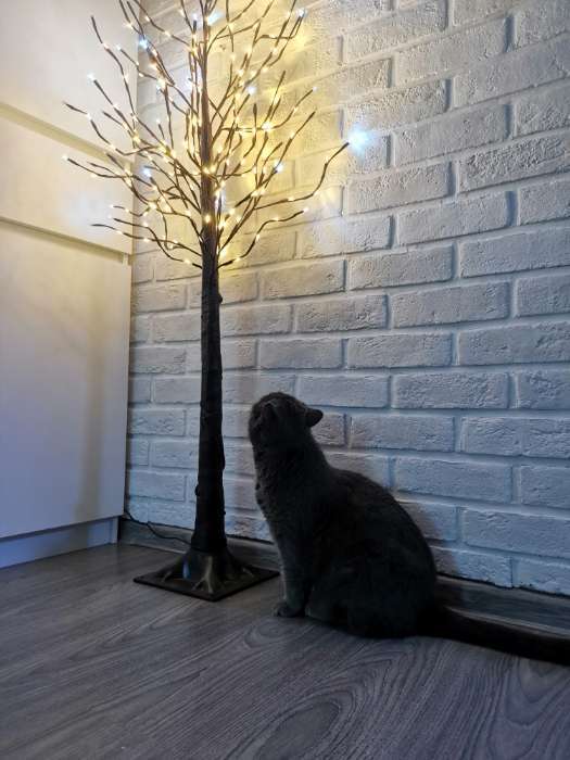 Фотография покупателя товара Светодиодное дерево 1.5 м, 224 LED, мерцание, 220 В, свечение белое - Фото 2