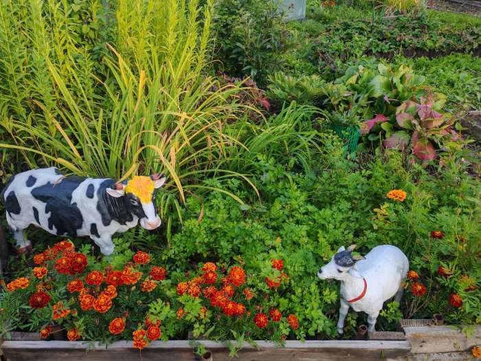 Фотография покупателя товара Садовая фигура из полистоуна «Корова», 79×26×50 см - Фото 2