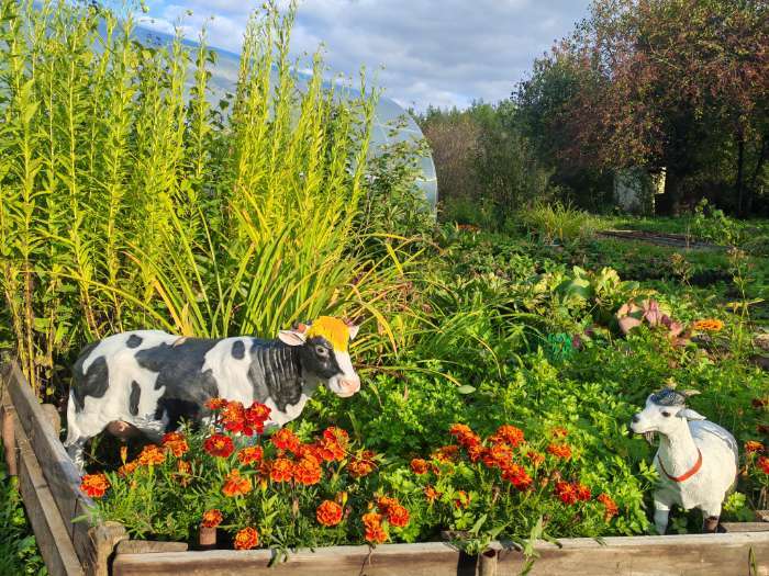 Фотография покупателя товара Садовая фигура из полистоуна «Корова», 79×26×50 см - Фото 3
