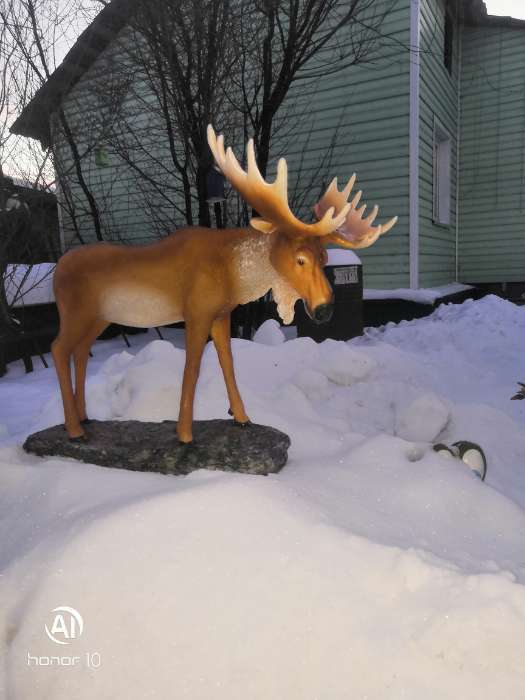 Фотография покупателя товара Садовая фигура "Лось на камне" из полистоуна Хорошие сувениры, 52 см, большая, коричневая