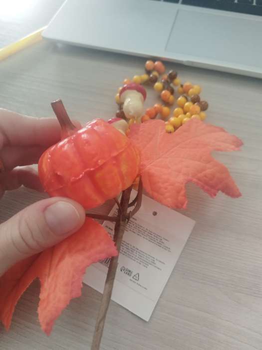 Фотография покупателя товара Декор на палочке «Осень» 8×20×30 см - Фото 4