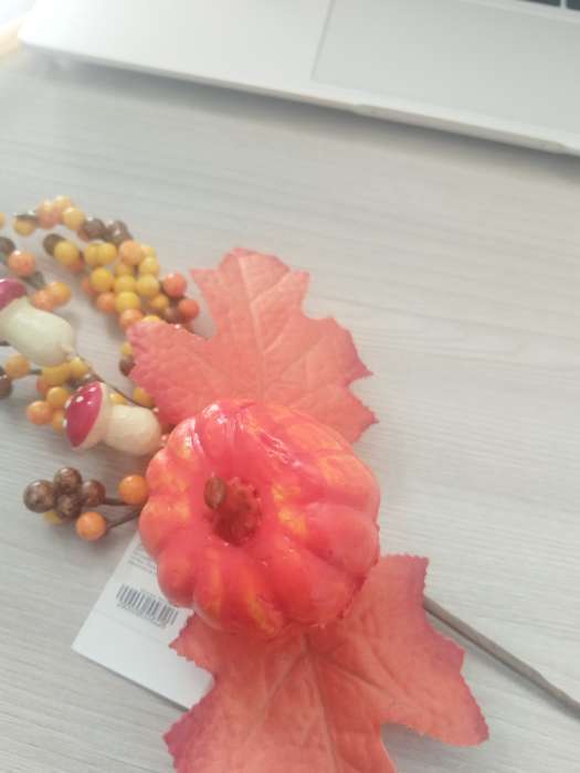 Фотография покупателя товара Декор на палочке «Осень» 8×20×30 см - Фото 6