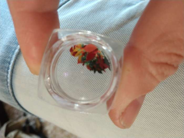 Фотография покупателя товара Фигурки для декора «Листья», объёмные, разноцветные - Фото 3