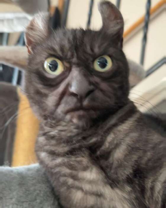 Фотография покупателя товара Таблетница «Максимум», 10×6.5×3.5 см, 8 секций, сиреневая - Фото 6