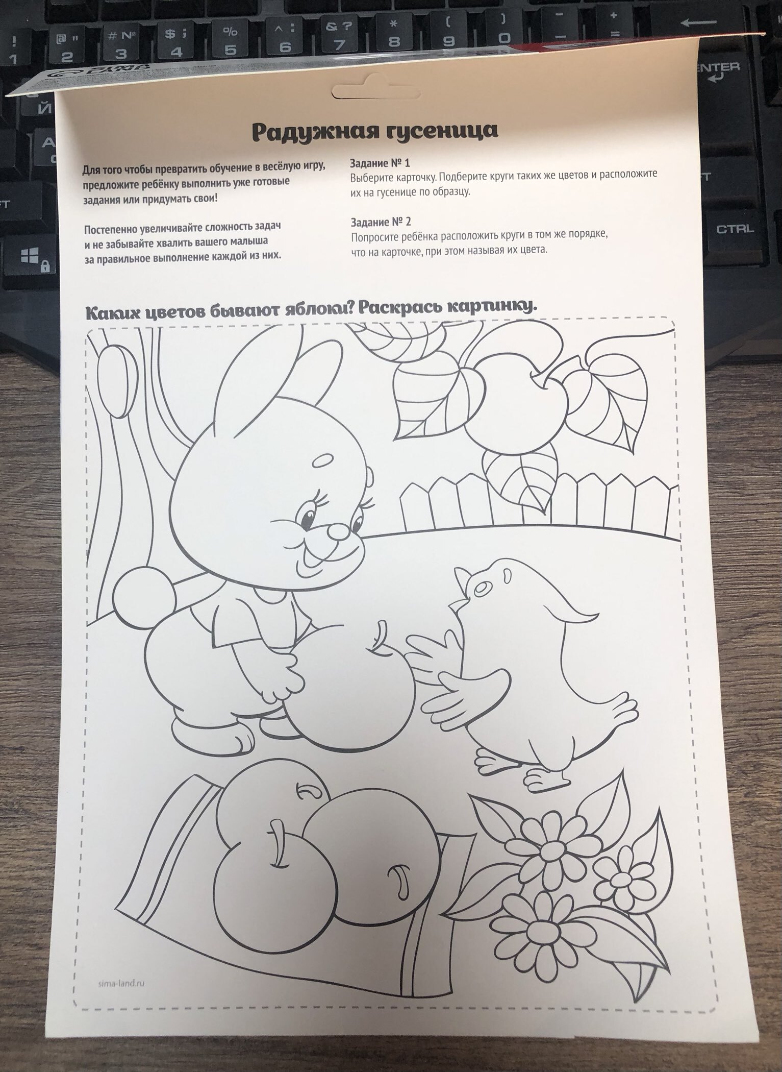 Фотография покупателя товара Игра на липучках «Гусеница», повтори по образцу - Фото 2