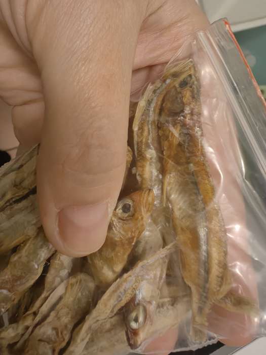 Фотография покупателя товара Лакомство для водяных черепах, сушеная рыбка, 20 г - Фото 10