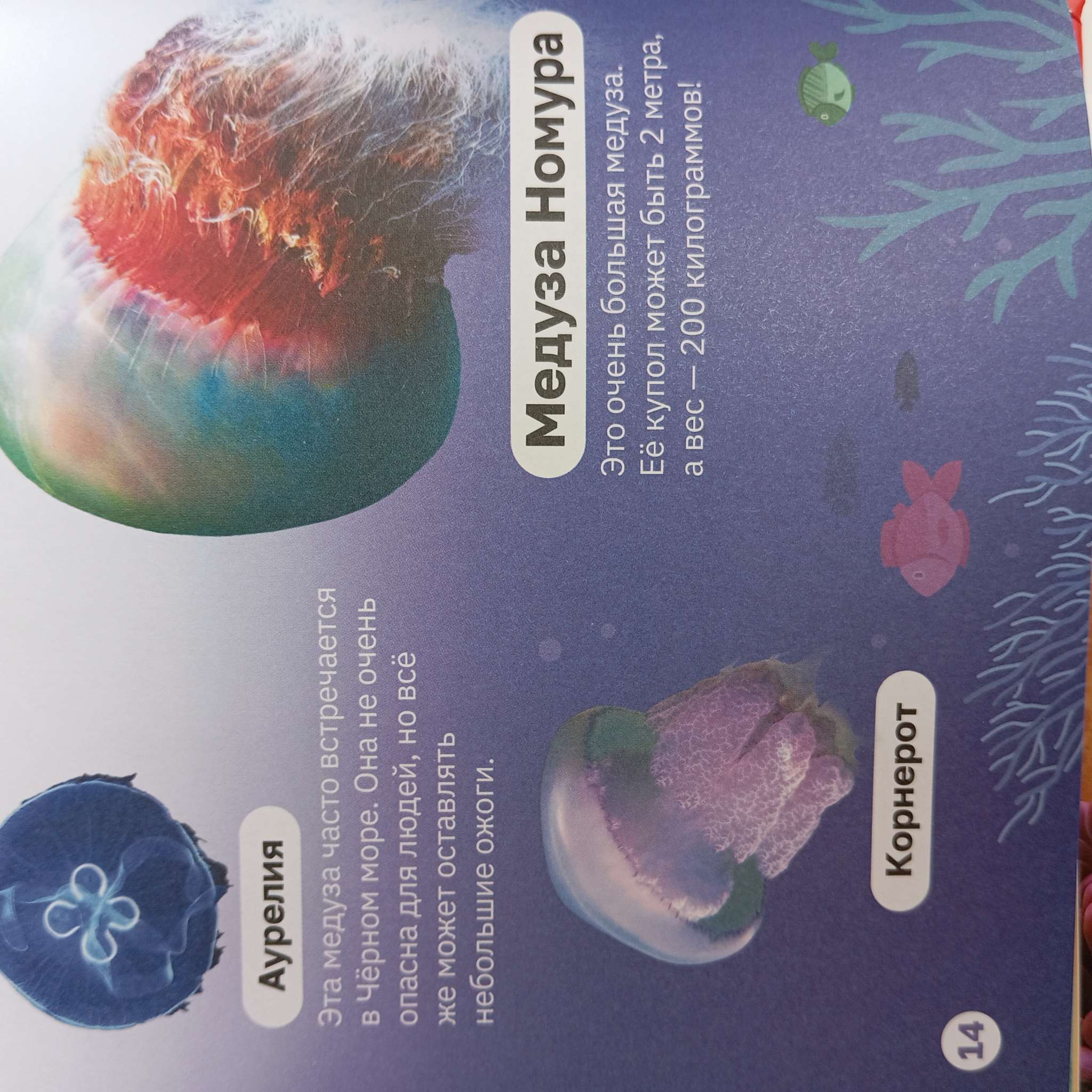 Фотография покупателя товара Энциклопедия в твёрдом переплёте «Подводный мир», 48 стр. - Фото 1