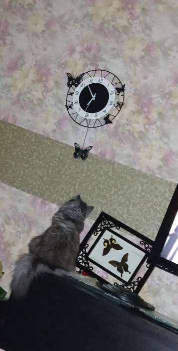 Фотография покупателя товара Часы настенные интерьерные «Бабочки», с маятником, плавный ход, 35×51 см - Фото 4