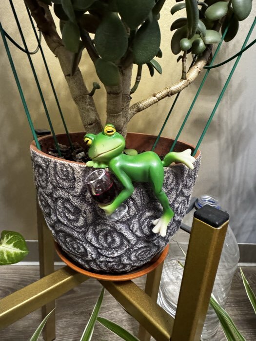 Фотография покупателя товара Фигурка для флорариума «Лягуха с бокалом - расслабляемся», полистоун, декор на кашпо, 9.5×4.5×7.5 см - Фото 2