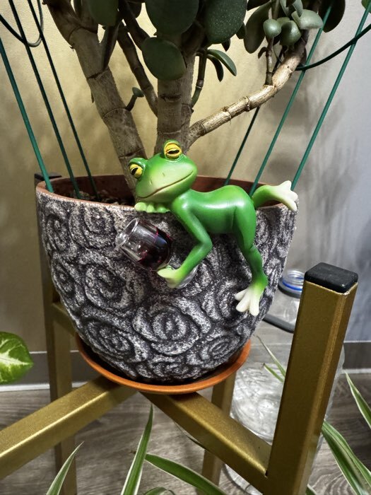 Фотография покупателя товара Фигурка для флорариума «Лягуха с бокалом - расслабляемся», полистоун, декор на кашпо, 9.5×4.5×7.5 см - Фото 3
