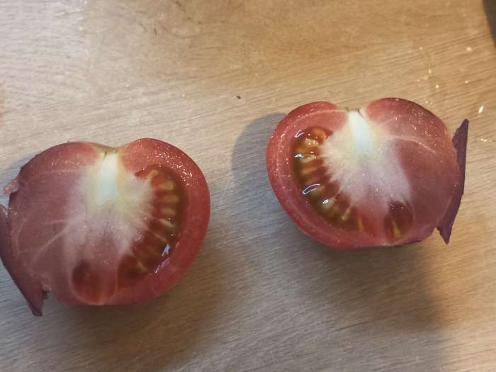 Фотография покупателя товара Семена Томат "Черная гроздь" F1, серия Русский огород, индетерминантный,высокорослый, 10 шт - Фото 2