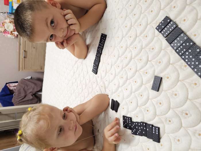 Фотография покупателя товара Домино классическое «Армейское», 28 шт. - Фото 1