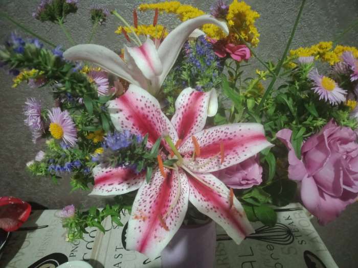 Фотография покупателя товара Лилия Тигровая «Свит Суренде», луковица в пакете с перфорацией, р-р 12/14, 3 шт. - Фото 6