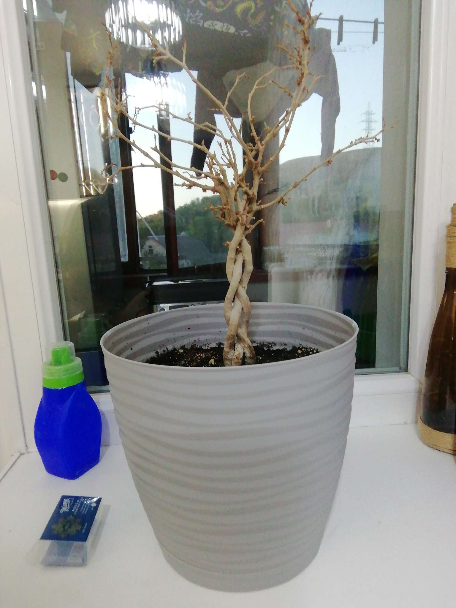 Фотография покупателя товара Горшок для цветов с поддоном «Дюна», 5.5 л, пластиковый, серый - Фото 1