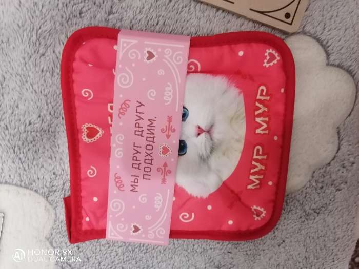 Фотография покупателя товара Набор кухонный «Доляна, Мур Мур», подставка 15×15 см, прихватка 17×17 см - Фото 2