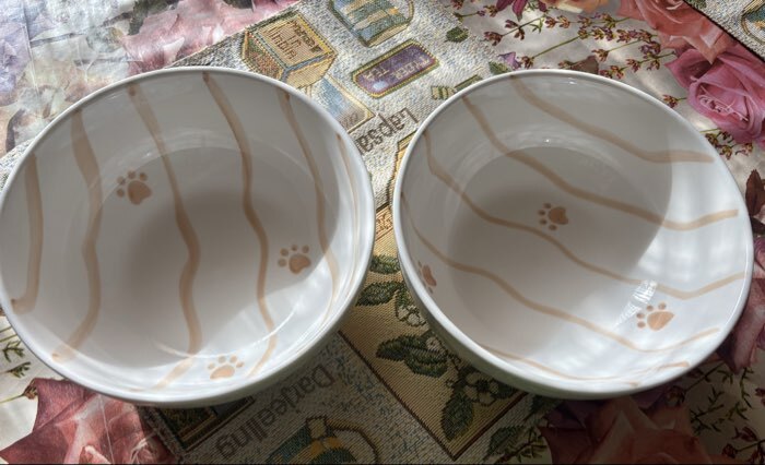 Фотография покупателя товара Салатники SL Home «Гатто», 1.1 л, d=18.5 см, набор 2 шт., фарфор, белые - Фото 3