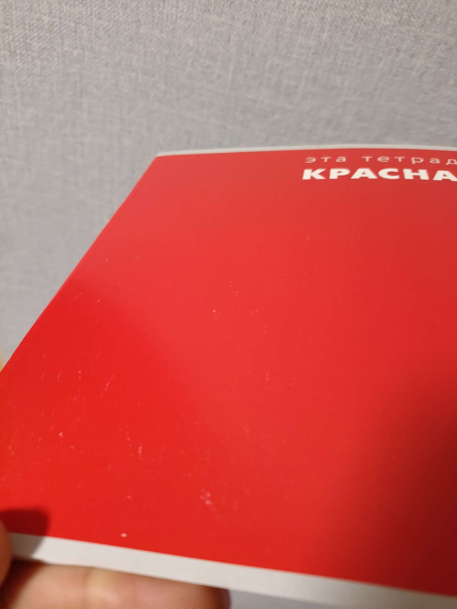 Фотография покупателя товара Тетрадь 48 листов в клетку, Calligrata «Это Тетрадь», МИКС - Фото 2