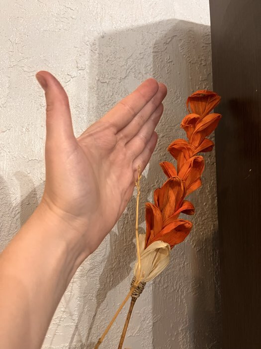 Фотография покупателя товара Интерьерный декор из бамбука, 200 см, светлый - Фото 4