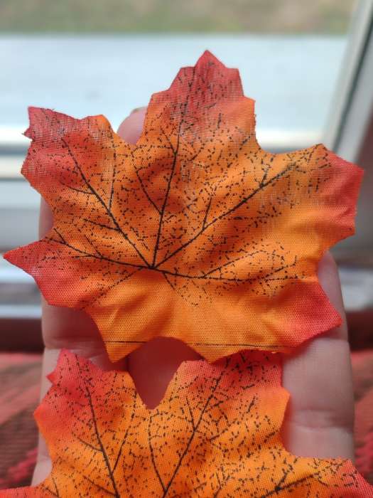Фотография покупателя товара Декор «Кленовый лист», набор 50 шт., красно-оранжевый цвет - Фото 9