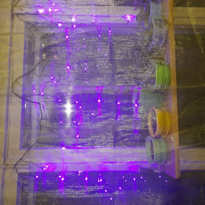 Фотография покупателя товара Гирлянда «Бахрома» 3 × 0.5 м, IP20, прозрачная нить, 80 LED, свечение синее, 8 режимов, 220 В - Фото 24