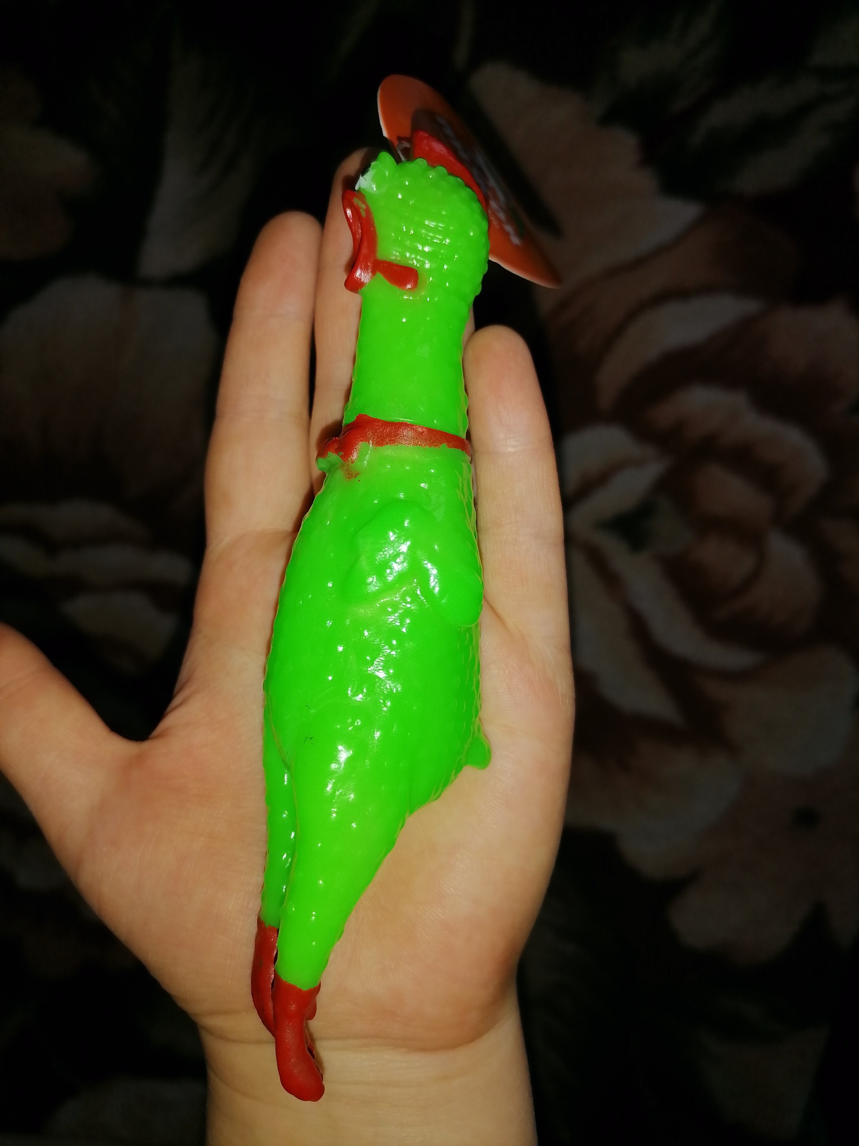 Фотография покупателя товара Игрушка пищащая "Задумчивая курица" малая для собак, 16,5 см, ярко-зелёная - Фото 22