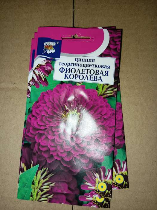 Фотография покупателя товара Семена цветов Цв Цинния георгин. "Фиолетовая королева",0,3 гр - Фото 1