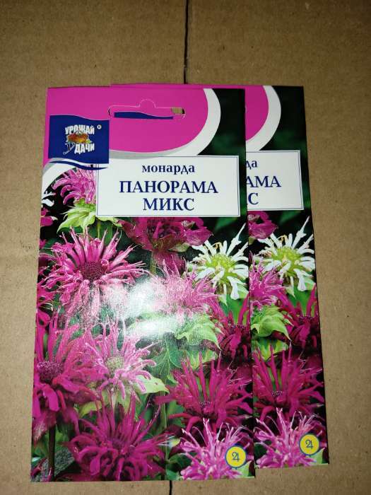 Фотография покупателя товара Семена цветов Монарда "Панорама Микс", 0,015 г - Фото 2