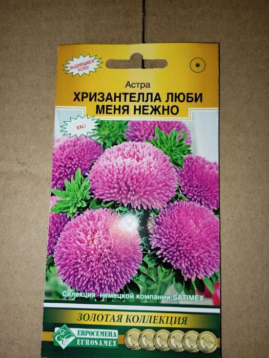 Фотография покупателя товара Семена Цветов Астра китайская Хризантелла Люби меня Нежно, 5 шт - Фото 1
