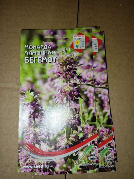 Фотография покупателя товара Семена цветов Монарда лимонная «Бегемот», 110 шт., «Дом семян» - Фото 1