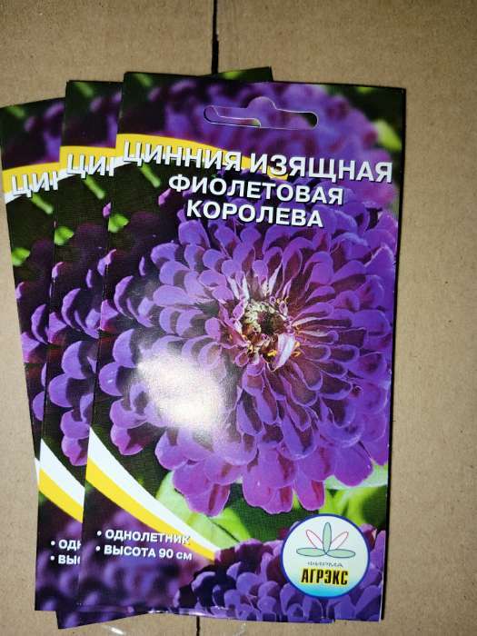 Фотография покупателя товара Семена цветов Цинния изящная "Фиолетовая королева", 0,2 г - Фото 1