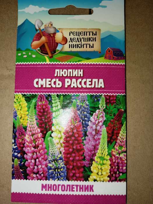 Фотография покупателя товара Семена цветов Люпин "Смесь Рассела", 0,5 г - Фото 1