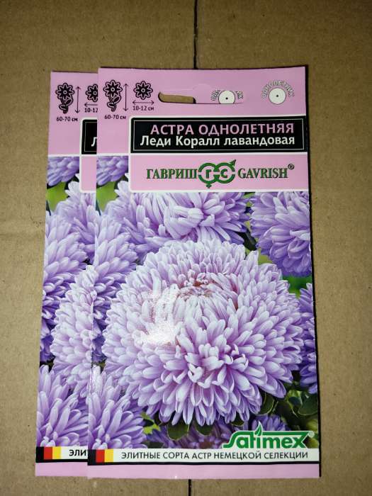 Фотография покупателя товара Семена цветов Астра "Леди Корал лавандовая", ц/п,  однолетняя, серия Эксклюзив,  0,05 г - Фото 2