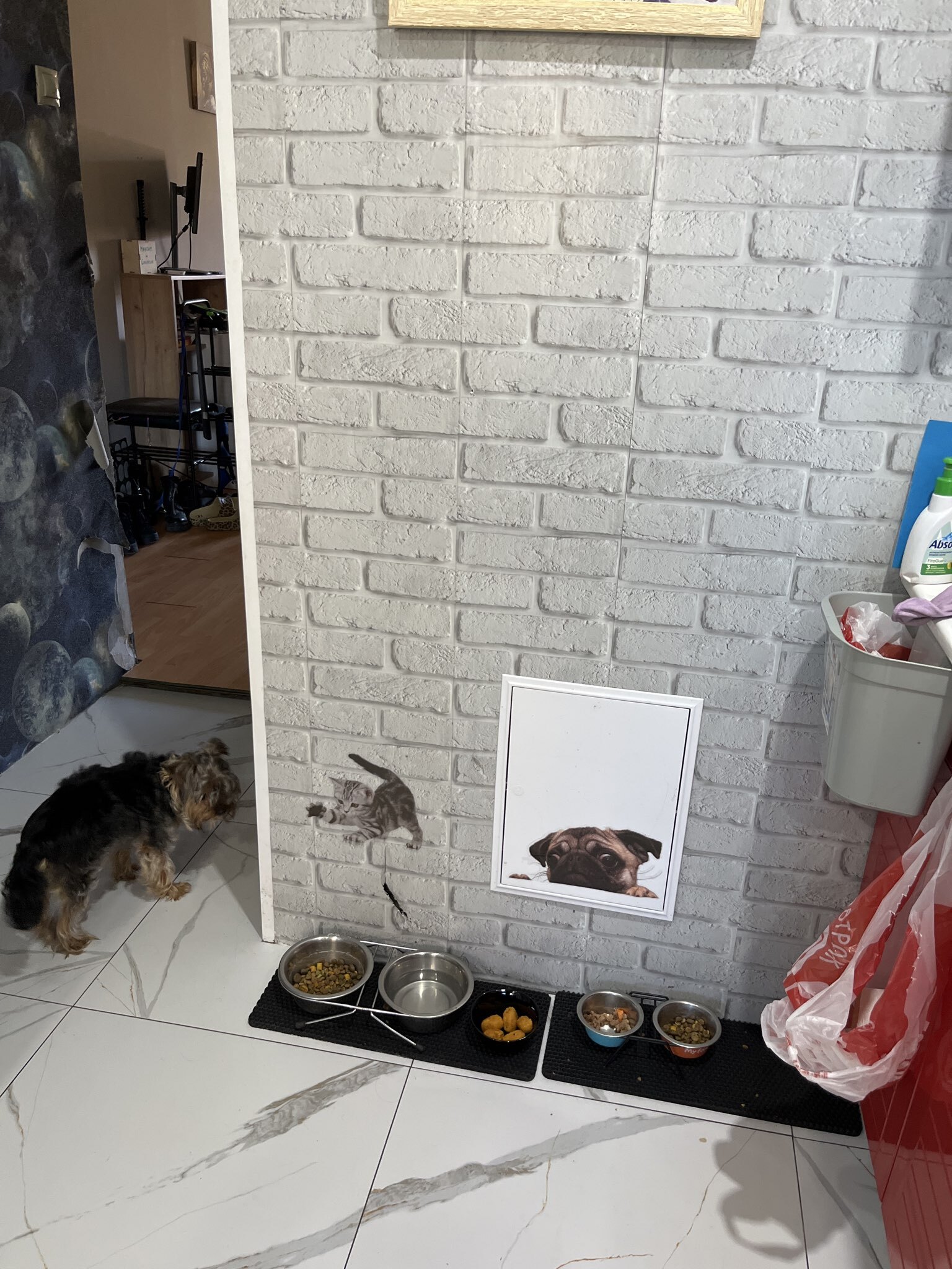 Фотография покупателя товара Интерьерная наклейка 3Д TAKE IT EASY «Домашние питомцы дружат», 29×21 см - Фото 3