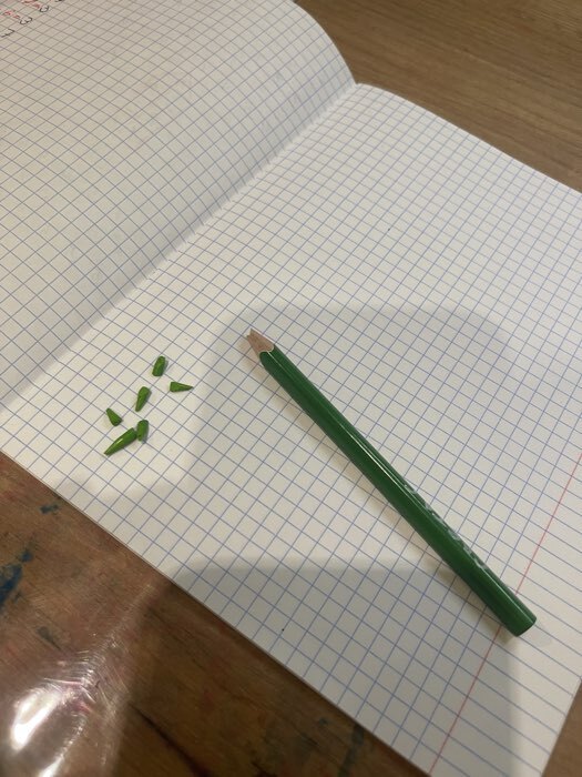 Фотография покупателя товара Карандаши Calligrata, цветные, 6 цветов, супермягкие, диаметр грифеля 3 мм, 5B - Фото 11