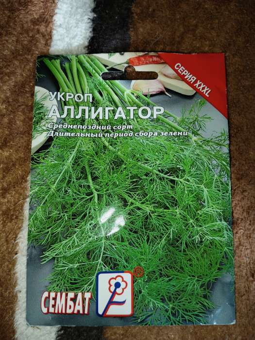 Фотография покупателя товара Семена ХХХL Укроп "Аллигатор", 20 г - Фото 1