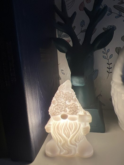 Фотография покупателя товара Фигурка светящаяся RISALUX «Гном», LED-ночник, 2 Вт, LR44, белый, 4.5×5.5×9 см - Фото 2