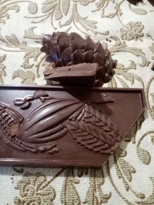 Фотография покупателя товара Форма для шоколада и конфет пластиковая «Какао», 7×15×1 см, цвет прозрачный - Фото 1