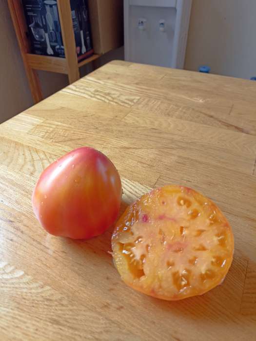 Фотография покупателя товара Семена Томат "Дынюшка", F1,индетерминантный,высокорослый, 10 шт - Фото 1