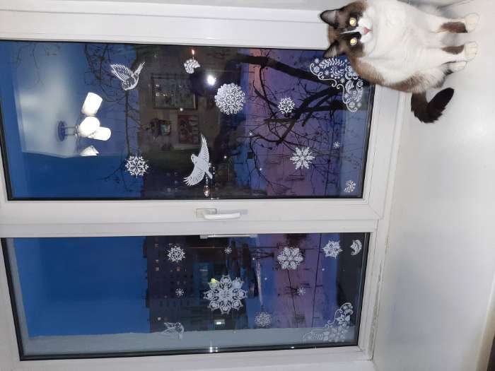 Фотография покупателя товара Наклейка для окон «Узорные снежинки» , многоразовые, 33 × 50 см