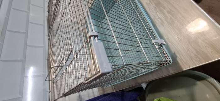 Фотография покупателя товара Клетка для птиц «Пижон» №104, разборная, 58×40×48 см, 1 секция, бирюзовая - Фото 3