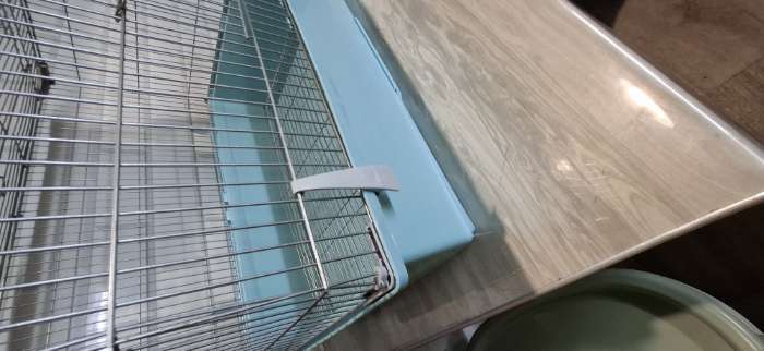 Фотография покупателя товара Клетка для птиц «Пижон» №104, разборная, 58×40×48 см, 1 секция, бирюзовая - Фото 5