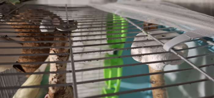 Фотография покупателя товара Клетка для птиц «Пижон» №104, разборная, 58×40×48 см, 1 секция, бирюзовая - Фото 6