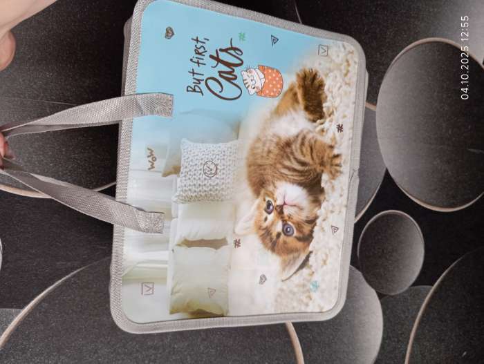 Фотография покупателя товара Папка с ручками пластиковая А4 Calligrata «Котёнок», 32.2×25.6×7 см - Фото 1