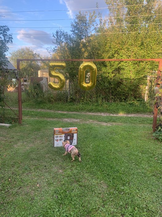 Фотография покупателя товара Воздушный шар фольгированный 40" «Цифра 1» - Фото 3