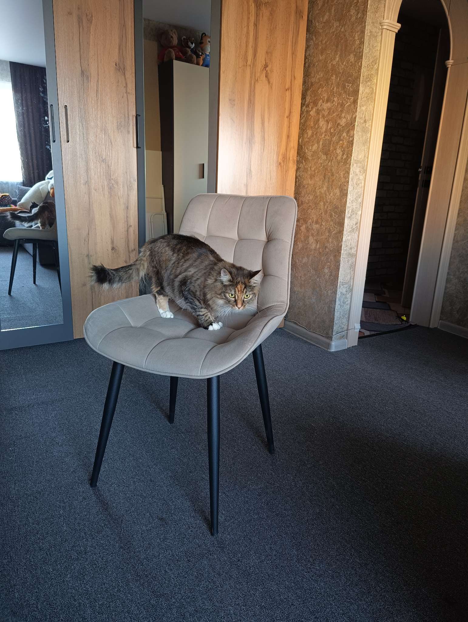 Фотография покупателя товара Стул «Бостон», обивка velutto 24, цвет шоколад - Фото 1